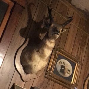 Meet your Posher, Barbara